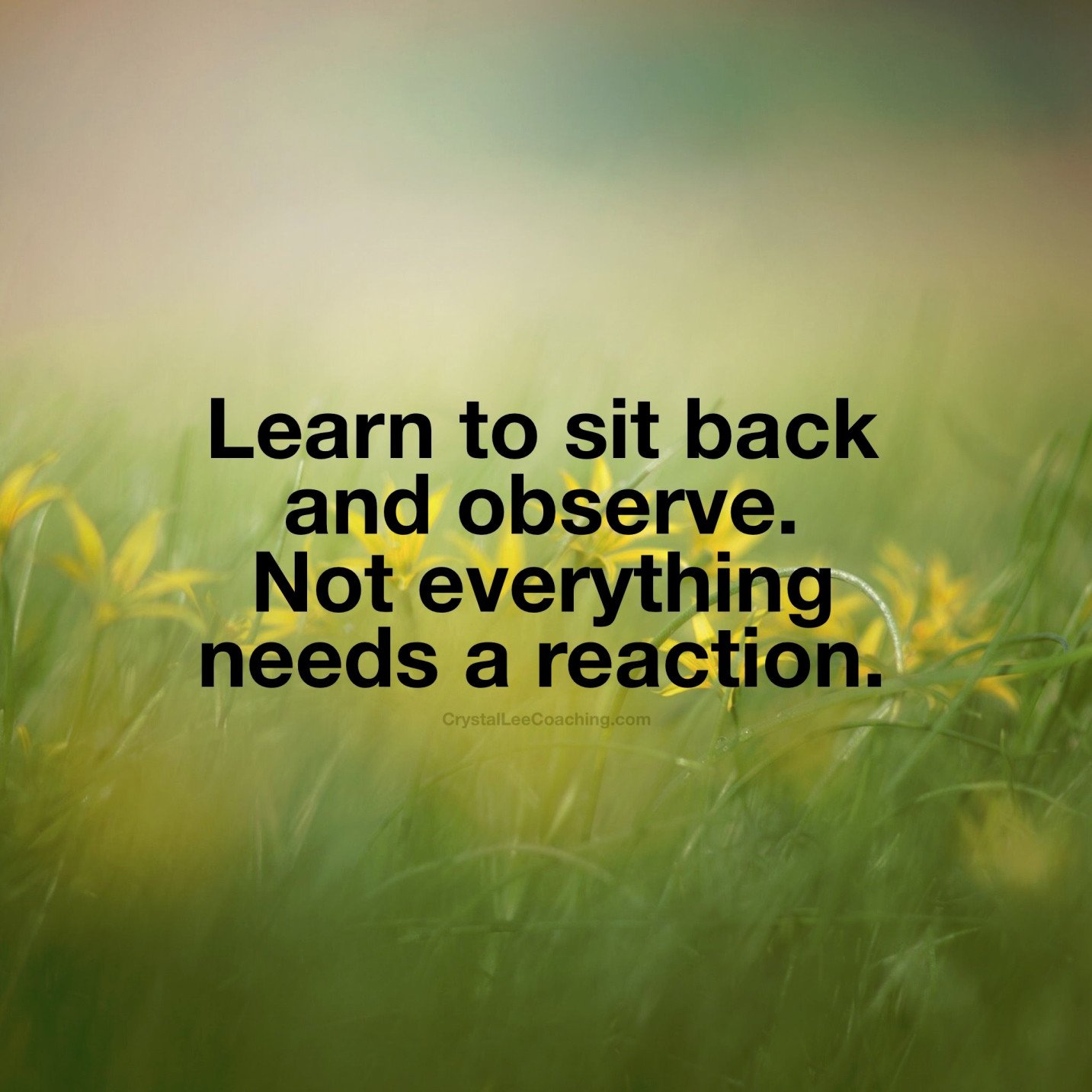 Learn to sit back and observe. not everything need