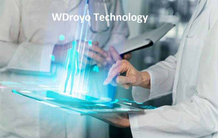 WDroyo Technology