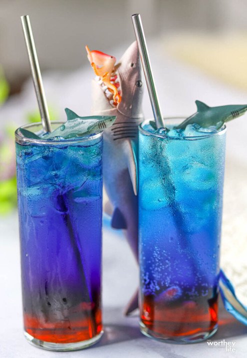 Shark Water